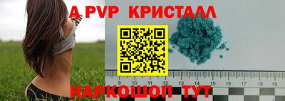 spice Усть-Джегута