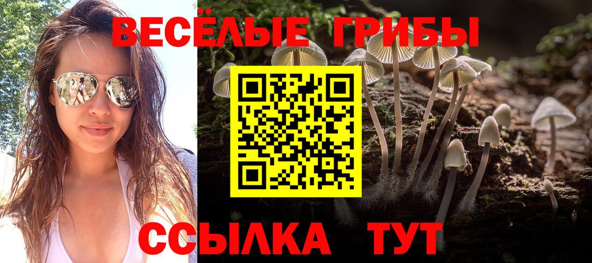 Павловский Посад  Псилоцибиновые грибы мицелий  Вход с VPN 